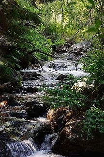 The beauty of the outdoors