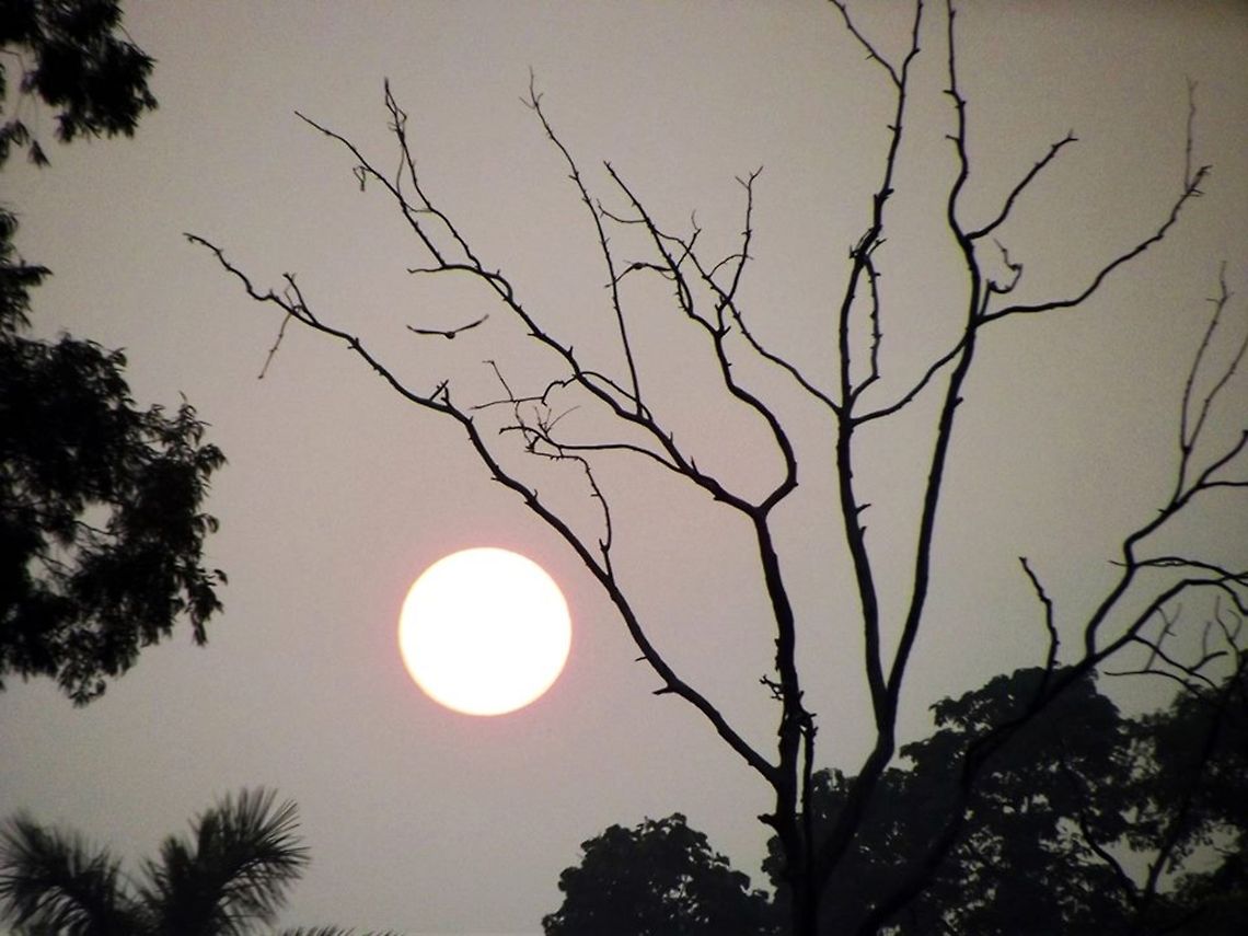 The mesmerizing sunset The sunset is captured at the historical gandhi maidan of Patna.