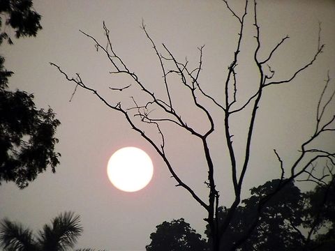 The mesmerizing sunset The sunset is captured at the historical gandhi maidan of Patna.