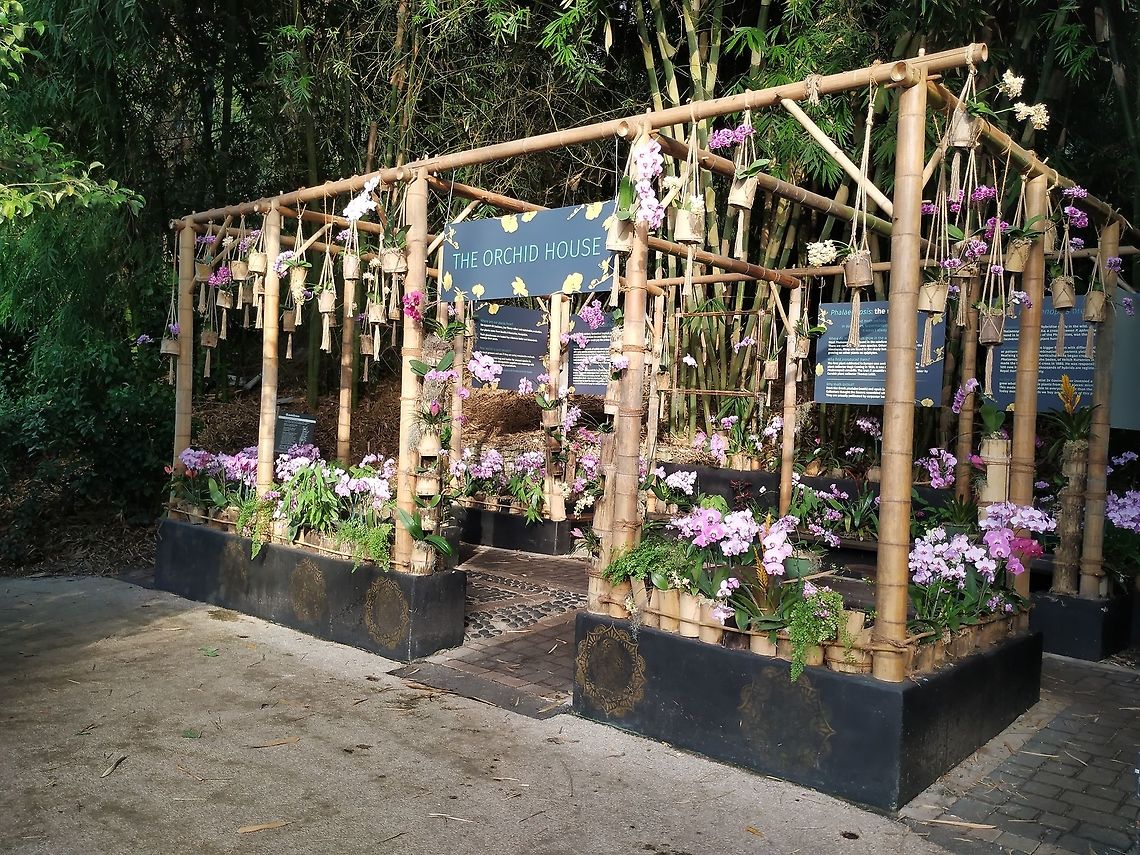 Orchid house from bio-dome Uploaded for a reference to <figure class="photo"><a href="https://www.jungledragon.com/image/75568/orchid_id_help.html" title="Orchid [ID HELP]"><img src="https://s3.amazonaws.com/media.jungledragon.com/images/2167/75568_thumb.jpg?AWSAccessKeyId=05GMT0V3GWVNE7GGM1R2&Expires=1763596810&Signature=OI%2FVw4NonYMRjuLIkZxRtVN3z88%3D" width="200" height="150" alt="Orchid [ID HELP] Place: Biodome, Cornwall, UK Fall,Geotagged,United Kingdom,biodome,flower,macro,orchid,orchids" /></a></figure> Fall,Geotagged,United Kingdom