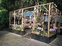 Orchid house from bio-dome Uploaded for a reference to https://www.jungledragon.com/image/75568/orchid_id_help.html Fall,Geotagged,United Kingdom