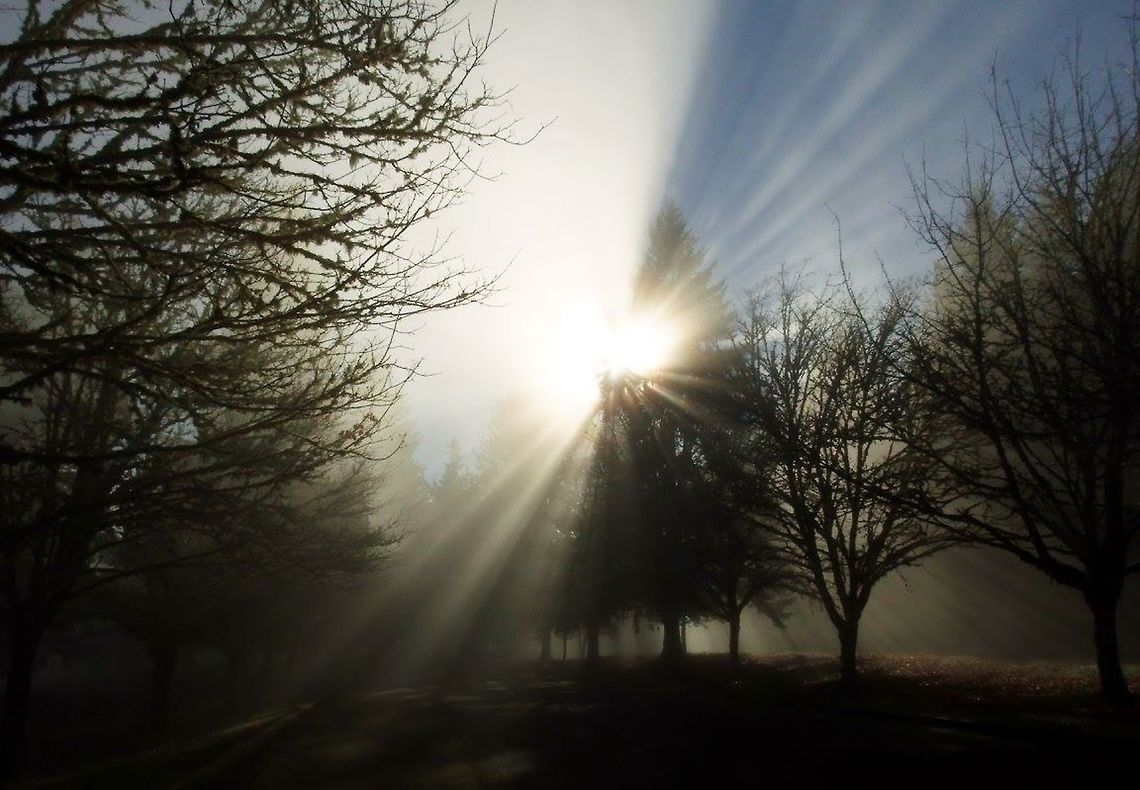 Foggy Oregon Day.  Geotagged,United States,fog