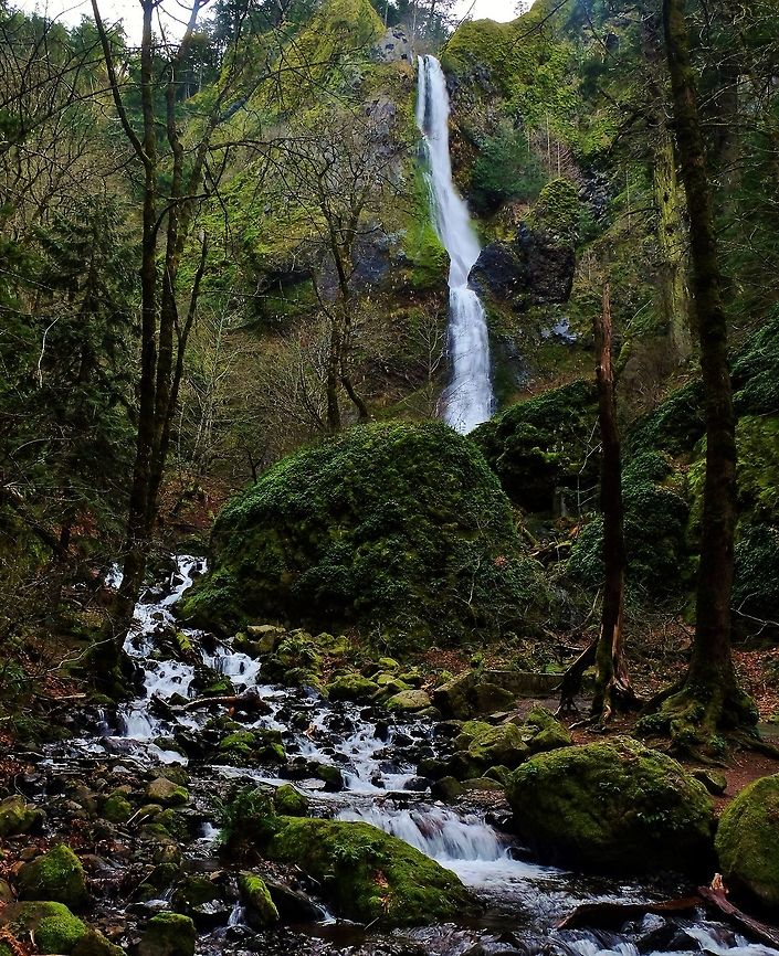 Starvation Creek Falls Columbia Gorge Falls,Geotagged,United States,Winter
