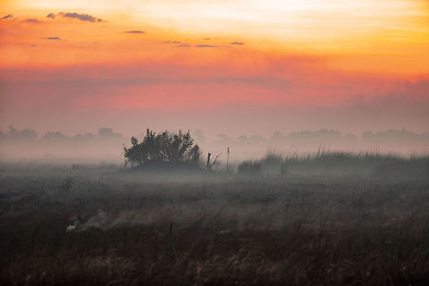Bush fire at sunset All the smoke made for some lovely sunsets. Went by this fire 3 days later and already new green shoots were appearing. Botswana,Geotagged,Summer,Tokyo