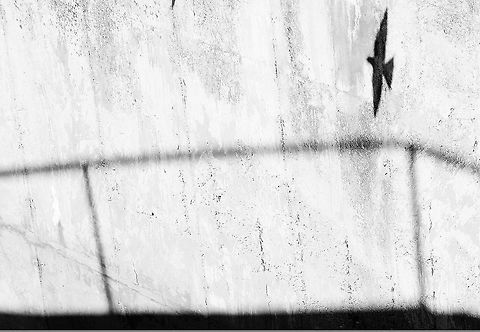 Shadow  Geotagged,Slovakia,Summer