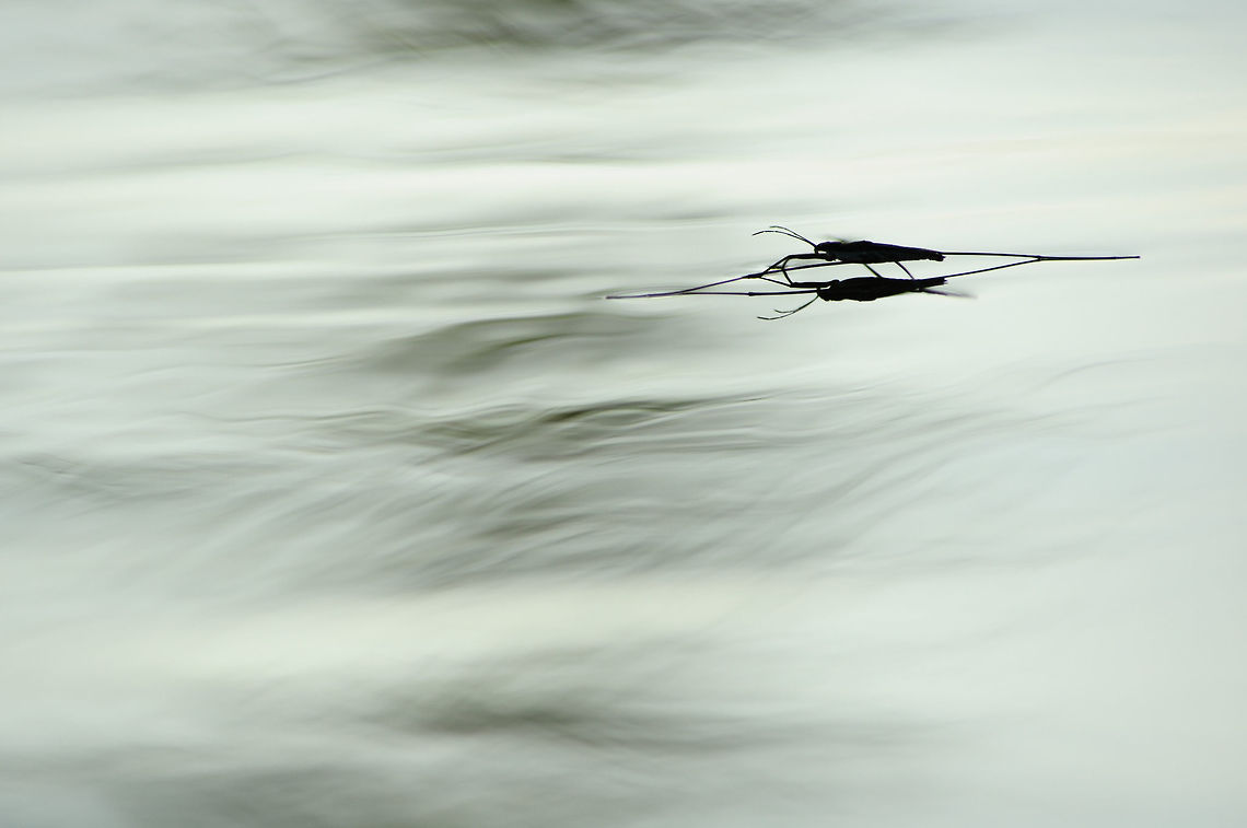 Calm moln&aacute;r  Geotagged,Slovakia,Spring