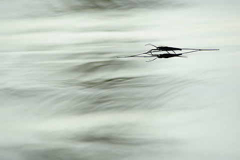 Calm moln&aacute;r  Geotagged,Slovakia,Spring