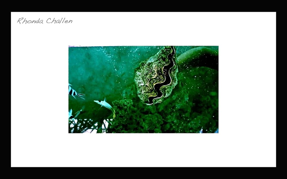 Rarotonga, Cook Islands This picture was taken under water in approximately 2002....pre digital so the colours/quality are a bit off...But this is a giant clam.  We were swimming near Muri Beach Lagoon.  The waters here are warmer than the heated swimming pools and the sea life abounds!  We hope to return with a go-pro or similar camera to take some really great underwater photos!  Cook Islands,Geotagged,Giant clam,Tridacna (Tridacna) gigas