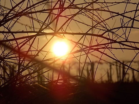 How ro get out Captured near Nemesn&aacute;dudvar, Hungary.