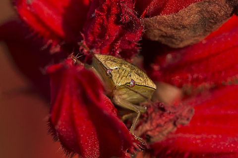 Waiting For The Right Moment