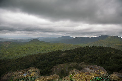 The lone elephant..  can you see it? In the vastness of BR hills...  but can you see that elephant? This is a real environmental shot. :) 5D mkIII,BR hills,Elephas maximus indicus,Geotagged,India,Indian Elephant,John Rowell,Summer,adhocphotographer,karnataka
