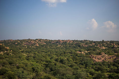 Can you find the bear? A wide angle pic (~40mm) of Daroji Bear Sanctuary, near Hampi, in North Karnataka. Fall,Geotagged,India,John Rowell,John Rowell Photography,Melursus ursinus,Sloth bear,adhocphotographer,copyright