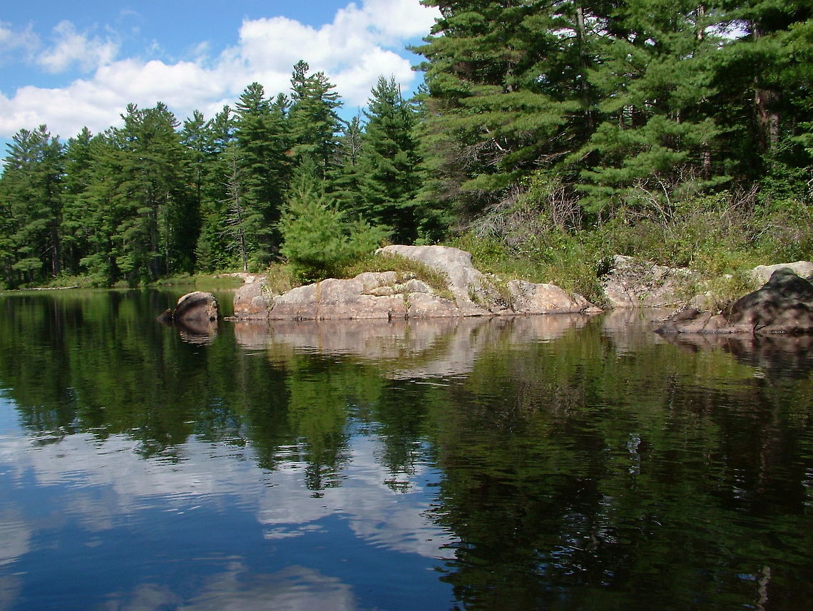 Distorted Illusions Photography  Geotagged,Summer,United States