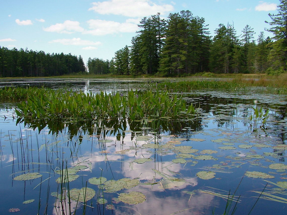 Distorted Illusions Photography  Geotagged,Summer,United States