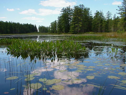 Distorted Illusions Photography  Geotagged,Summer,United States