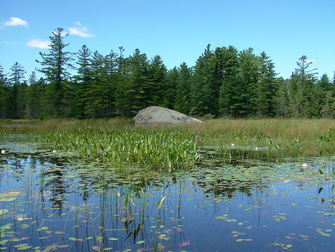 Distorted Illusions Photography  Geotagged,Summer,United States