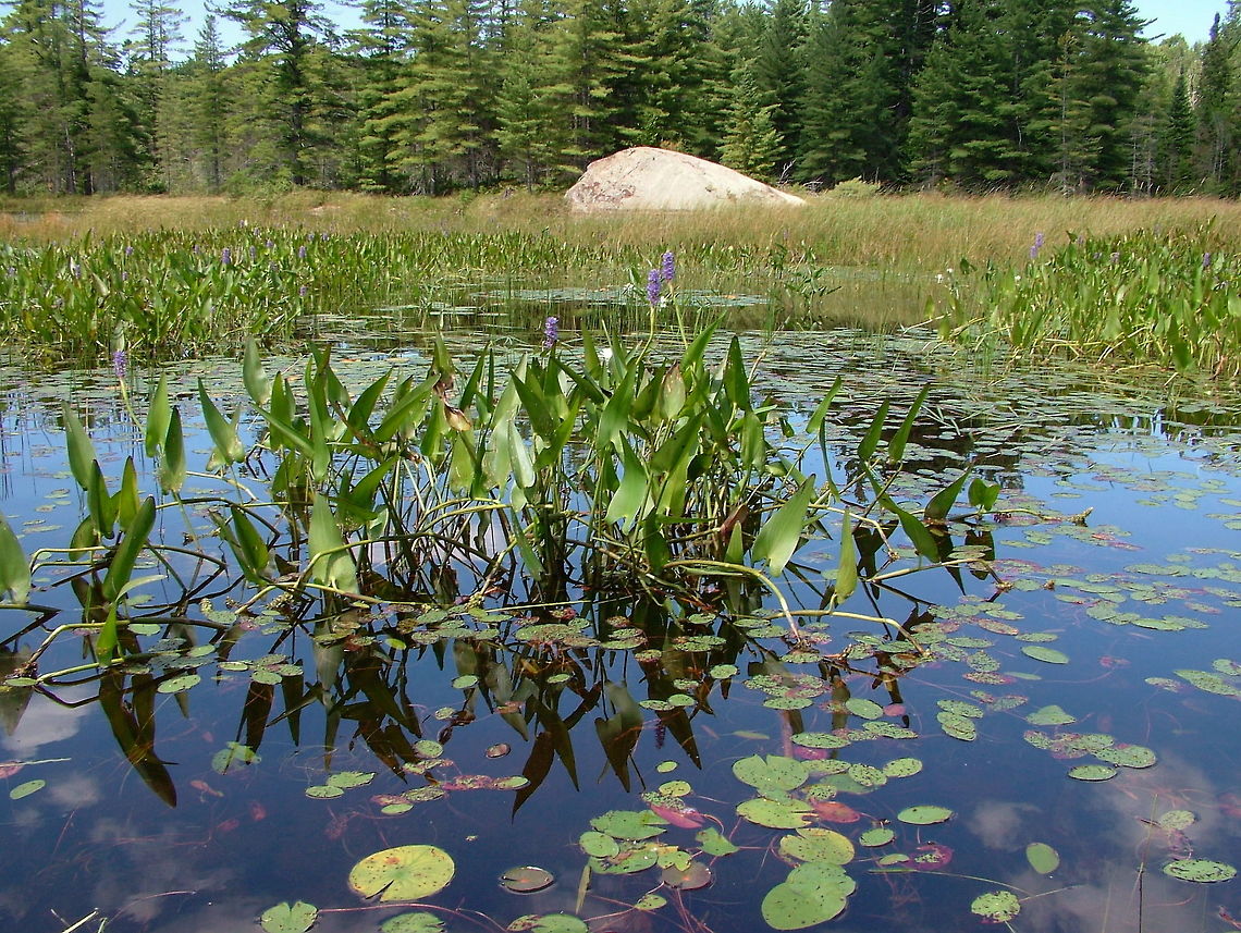 Distorted Illusions Photography  Geotagged,Summer,United States