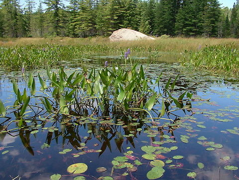 Distorted Illusions Photography  Geotagged,Summer,United States