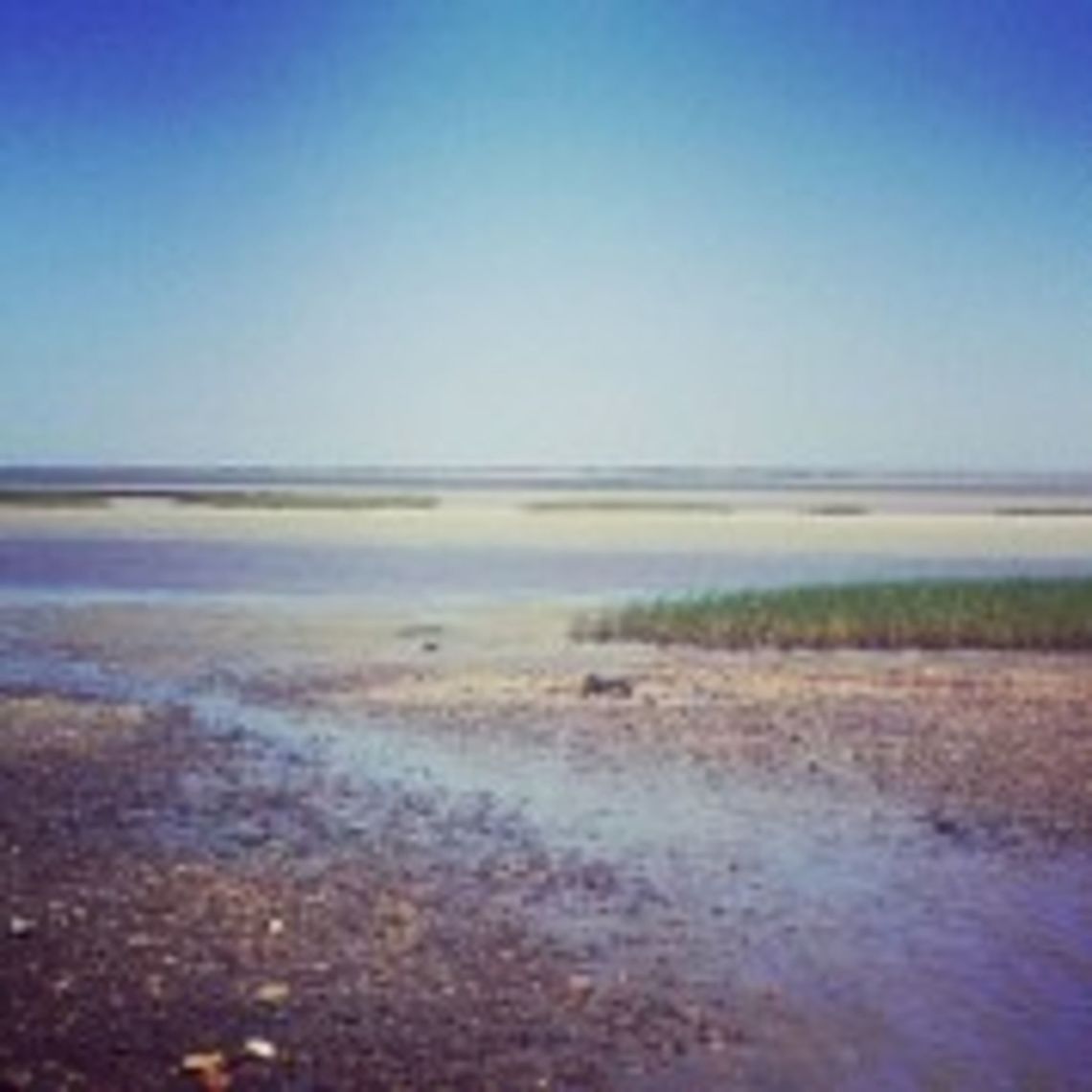 Brewster Flats The flats in Brewster on Cape Cod Massachusetts