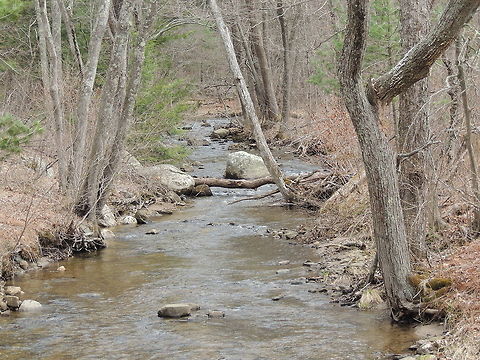 Laughing Brook Laughing Brook in Hamden Massachusetts