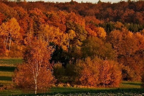 indian summer indian summer Fall,Geotagged,Germany,Landscapes