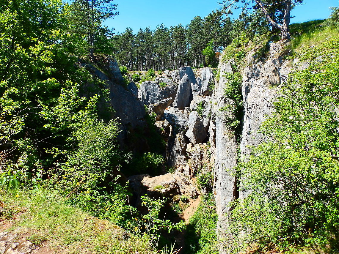 Fondry Des Chiens - Belgium In case you wonder how it looks like.<br />
More info here:<br />
<a href="https://www.discoveringbelgium.com/walking-around-viroinval/" rel="nofollow">https://www.discoveringbelgium.com/walking-around-viroinval/</a> Belgium,Geotagged,Spring
