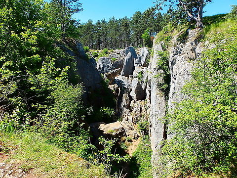 Fondry Des Chiens - Belgium In case you wonder how it looks like.
More info here:
https://www.discoveringbelgium.com/walking-around-viroinval/ Belgium,Geotagged,Spring