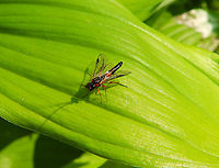 In search of ID Kruidtuin, Leuven. <br />
https://www.jungledragon.com/image/129948/in_search_of_id.html Belgium,Geotagged,Winter