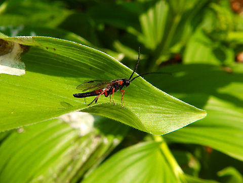 In search of ID Kruidtuin, Leuven. 
https://www.jungledragon.com/image/129947/in_search_of_id.html Belgium,Geotagged,Winter