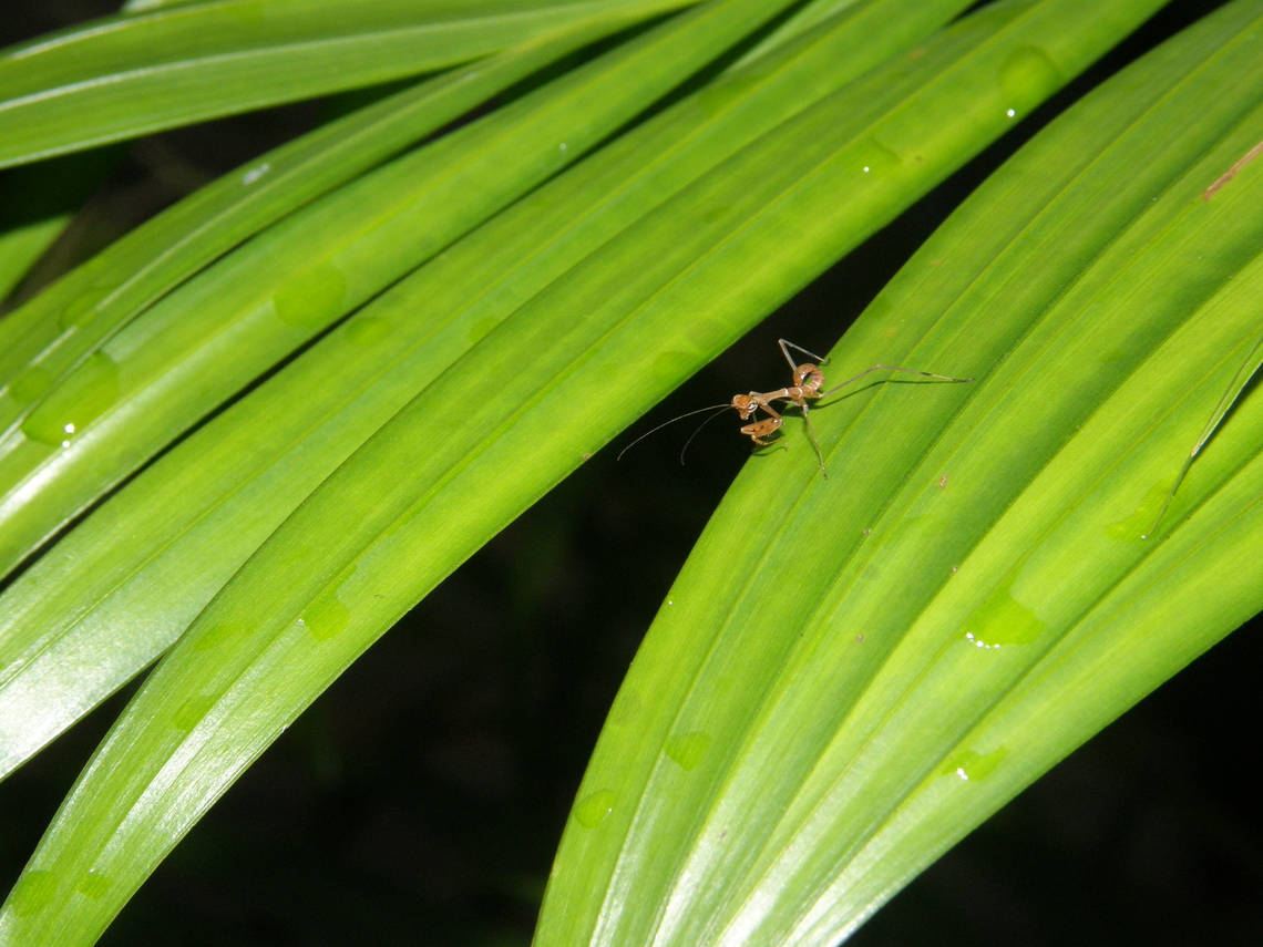 Looking for ID Ao Nang Beach, Krabi, Thailand (2008). Fall,Geotagged,Thailand