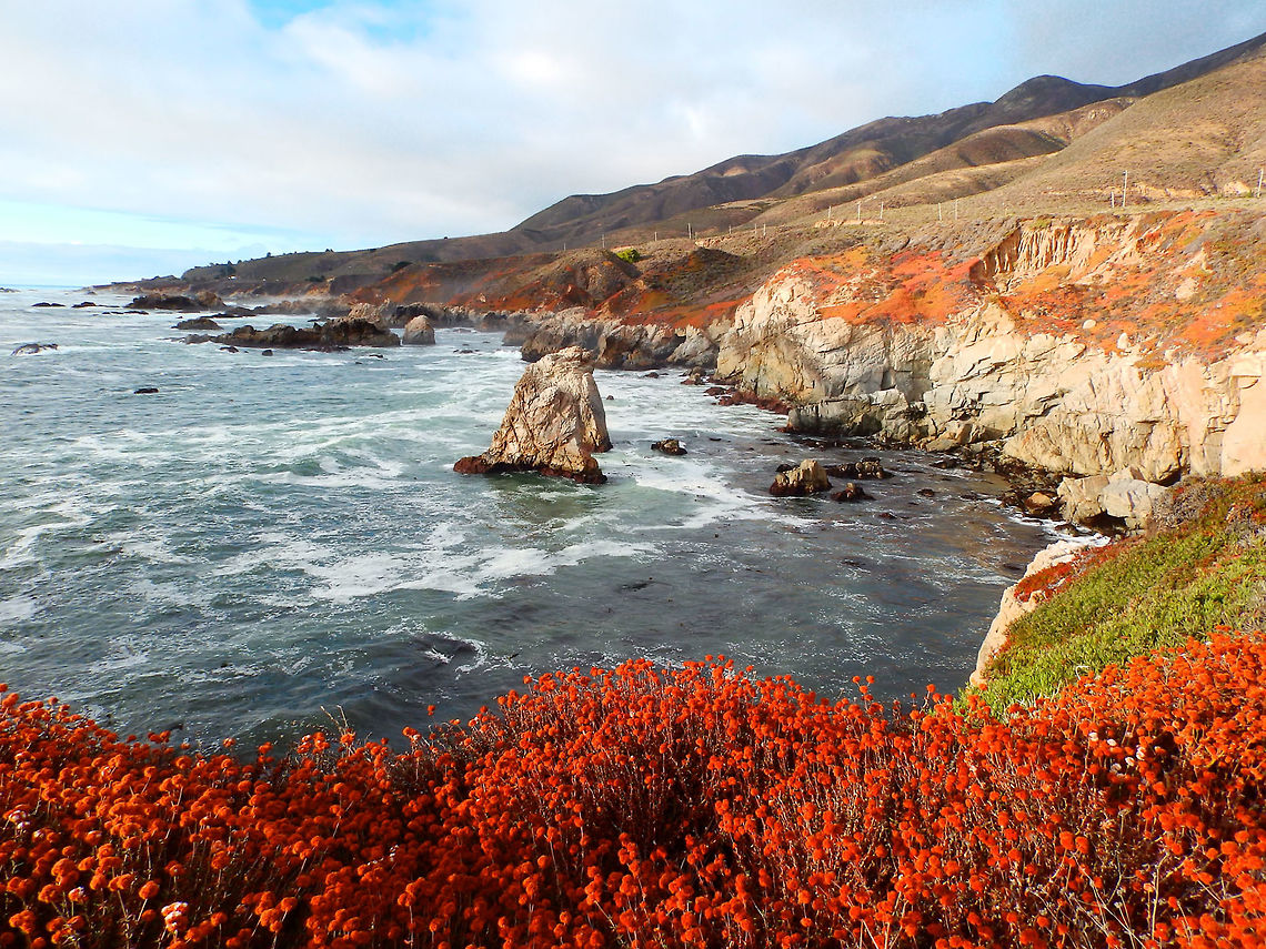 Big Sur, California 28 Sep 2014<br />
Captivating views of the Big Sur coast of California while traveling from Morro bay to Monterey by the Hwy 1 Big Sur,California,Eriogonum parvifolium,Fall,Geotagged,United States,scenery