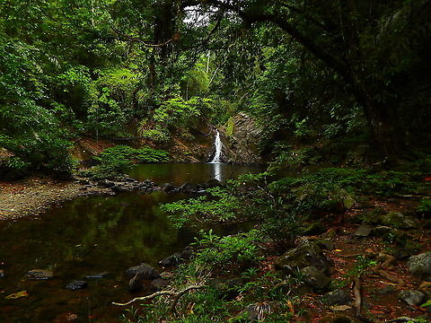 Lipad Waterfall, Tabin Just a magic spot in the middle of the Bornean forest. Geotagged,Malaysia,Summer