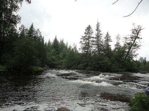 Rapid rivers In Maine, America.
