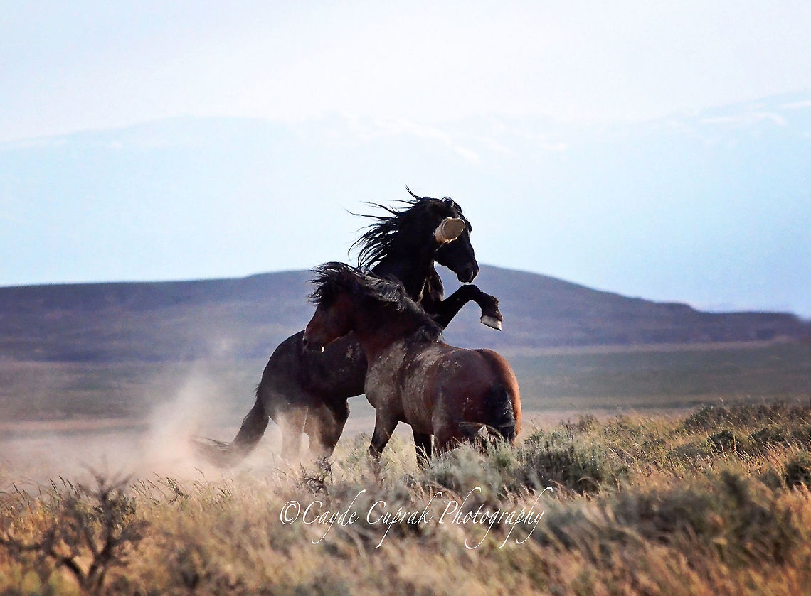 Take A Stand  Geotagged,Summer,United States