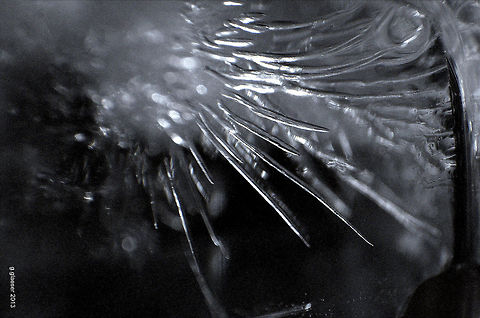 Frozen This is a macro of a melting ice-cube. I wouldn't normally have uploaded it here, but someone said, it's water, it's a frozen piece of nature, upload it to JungleDragon! So, here I go, thanks for the encouragement, Ludo Sak ;-) Macro