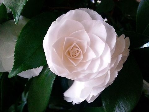 Geometric  Geotagged,Spring,United States