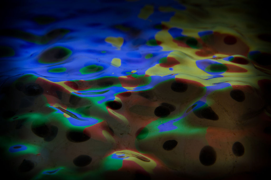 A frogs delight Froggies hatch from tiny eggs?<br />
Darkish blobs grows tail and legs!<br />
Yet both of them will disapear<br />
It's a frog, now it's clear!<br />
<br />
(a selfmodified childrens poem `frog's Life`, author unknown.<br />
 Canon  EF12mm II,Edible Frog,Geotagged,Green Frog,Pelophylax kl. esculentus,The Netherlands,macro,reflection