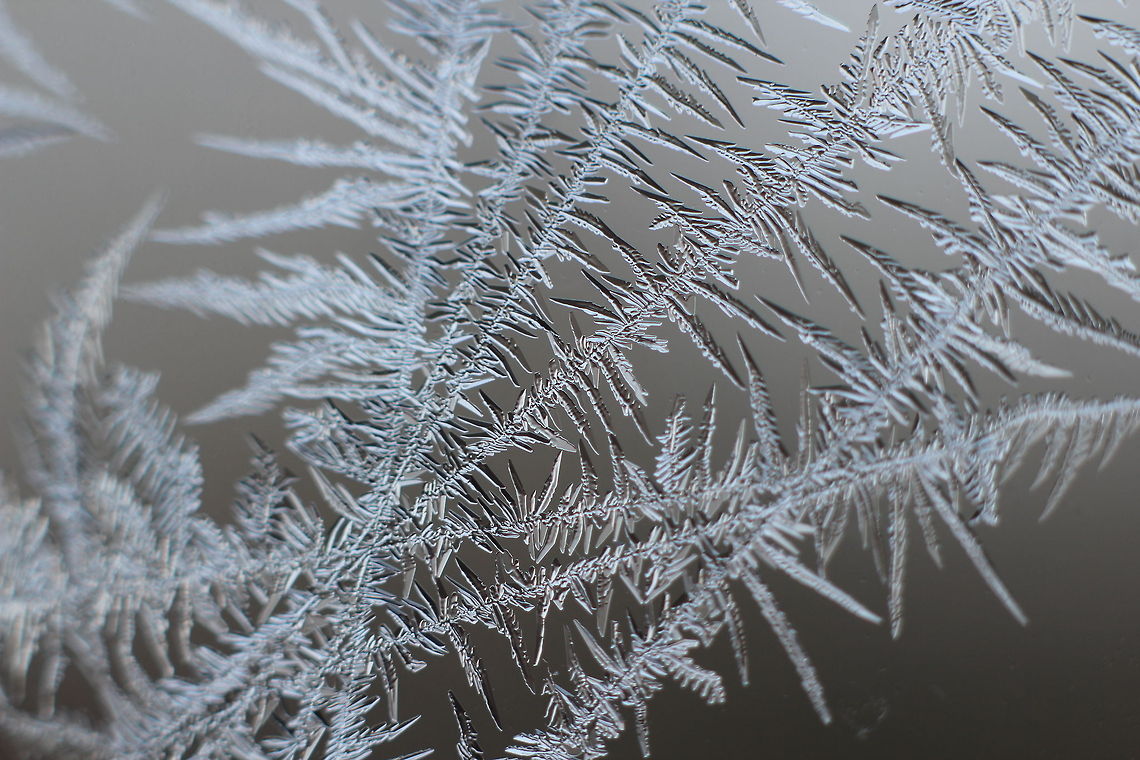 Jagged swords of ice Sometimes nature&#039;s just surprising you in its simplicity or complexity. Look at a frosted window for example. A highly complex structure on a simple thing as a frozen window in a shed. I like the lines in this photograph, the vividness of the ice particles, the sharp shadows and jagged lines. And that for free on a piece of glass.. Geotagged,The Netherlands,frost,glass,ice,macro,snow,soligor 12mm,soligor 20mm,soligor 36mm