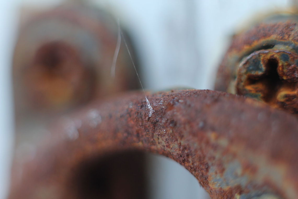 Midget magic Spying around I noticed a spiderweb that was partially frosted. It is just a minor detail, but on the rusted locking mechanism on a wooden lantern it was like midget magic. Geotagged,The Netherlands,frost,ice,lock,macro,rust,screw,spider