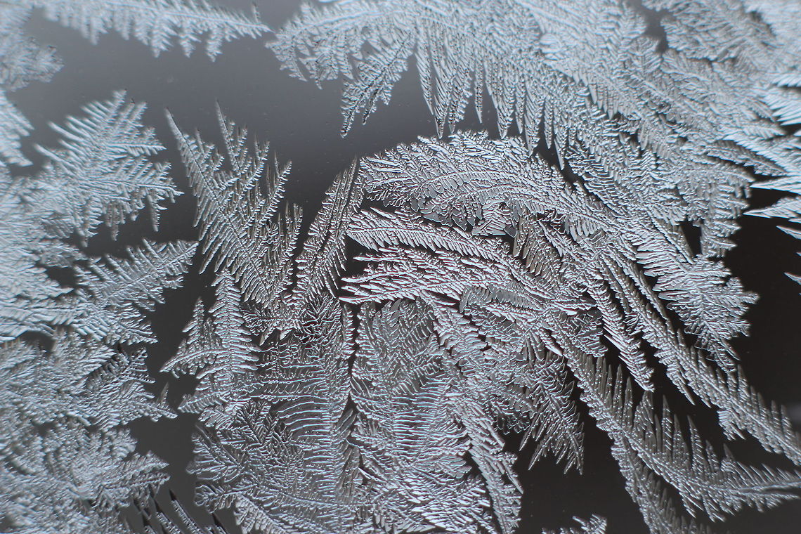 Frosted firns? This macro shot of a frosted windows shield invites fantasy on an epic journey of glass fiction. Wow, just look at the detail, it has &#039;fake&#039; written all over it, except it isn&#039;t. This is intelligent design in all its details, church or no church:) Plain frost takes my breath away. Geotagged,The Netherlands,design,fern,fiction,frost,glass,intelligent,macro,winter