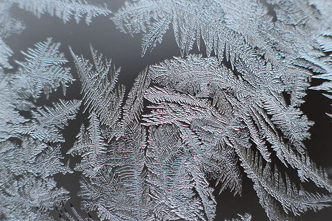 Frosted firns? This macro shot of a frosted windows shield invites fantasy on an epic journey of glass fiction. Wow, just look at the detail, it has 'fake' written all over it, except it isn't. This is intelligent design in all its details, church or no church:) Plain frost takes my breath away. Geotagged,The Netherlands,design,fern,fiction,frost,glass,intelligent,macro,winter