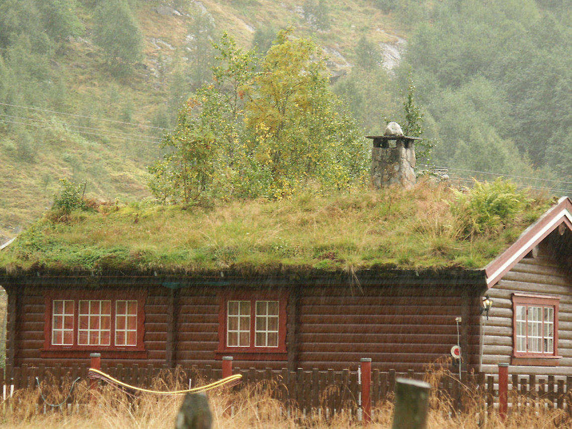 The Greenery Contructions, natural or manmade, can be combined. In Norway we saw lots of proof for that. Look at this wooden cottage, isolated with natures' best. The trees, you might think, are behind the cottage? I can assure you they are not as they house on the roof itself. A self regenerating roof, beautiful, is it not? <br />
Geotagged,Norway,greenery,roof,tree