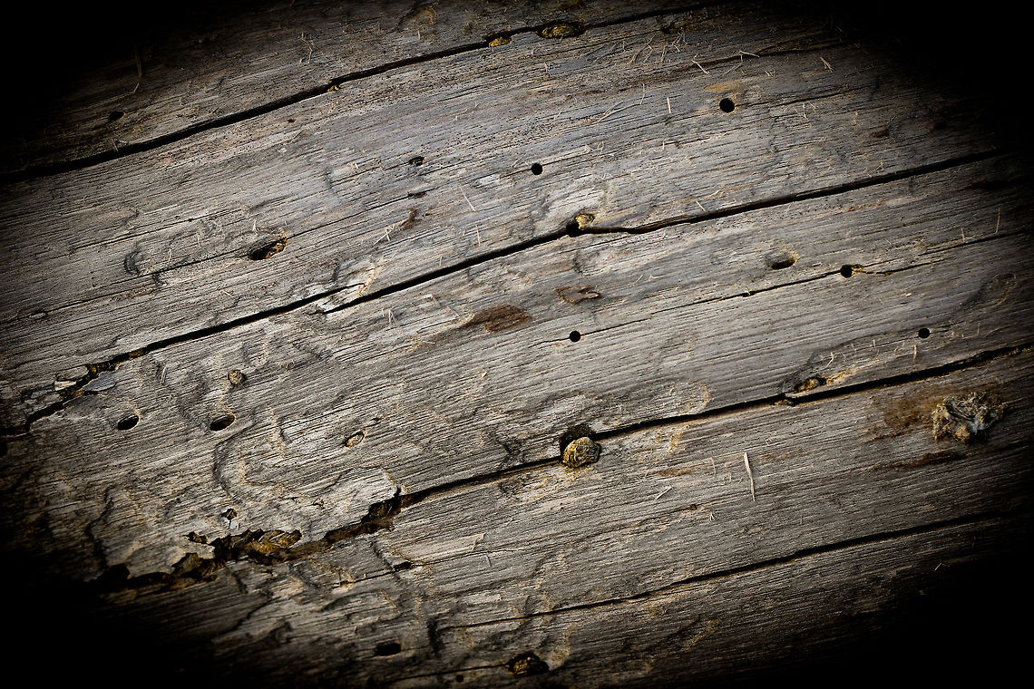 Driftwood Just a piece of very old wood, a broken tree. Driftwood it was, but on the shore for a while. It always intrigues me. Geotagged,Spring,United Kingdom
