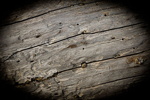 Driftwood Just a piece of very old wood, a broken tree. Driftwood it was, but on the shore for a while. It always intrigues me. Geotagged,Spring,United Kingdom