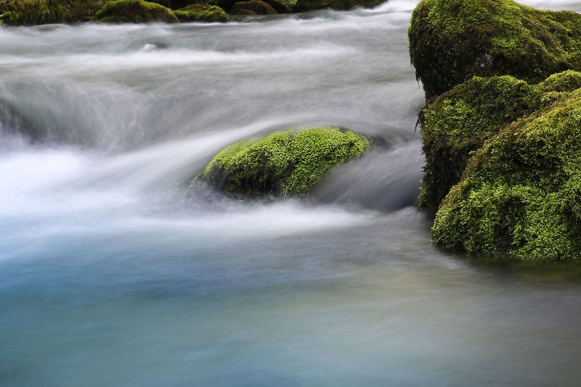 A fulvum waterfall A tiny waterfall in the french Jura, at the origin of the river Ain. <br />
The blueish water was creating a romantic athmosphere, with just a tiny bit of sunlight through the clouds and fresh mossy rocks.<br />
The moss is &#039;Dicranum fulvum&#039; or Boulder-fork moss, which has no designated Wiki page yet. The moss has a dry feel to it, not the slimy kind. Good to sit on and enjoy a sandwich and a cup of tea.  Dicranum fulvum,France,Geotagged,france,moss,waterfall