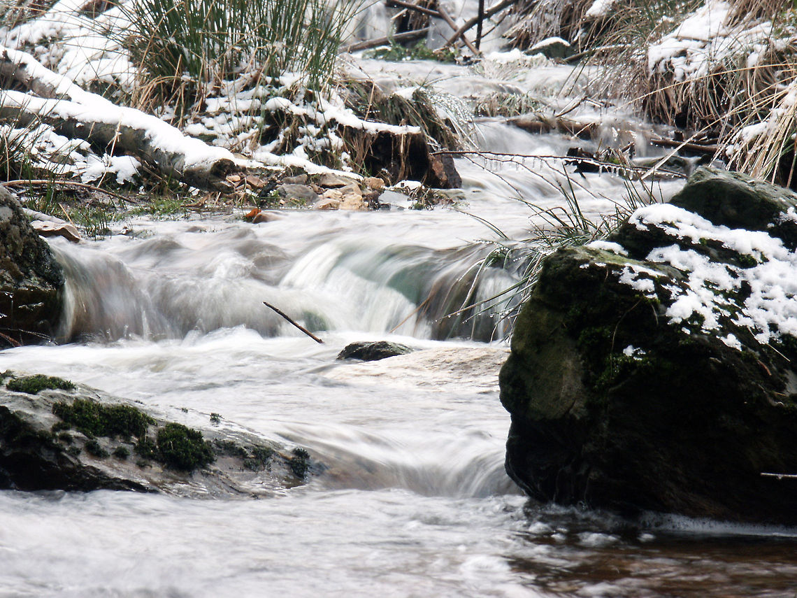 Of wintertime forlorn The upper half of our earth dappled in summertime <br />
I sometimes miss the winters' warmth of snow. <br />
The solitary walks, the quietness, <br />
A fiery gale, a fiery glow.  Belgium,Geotagged