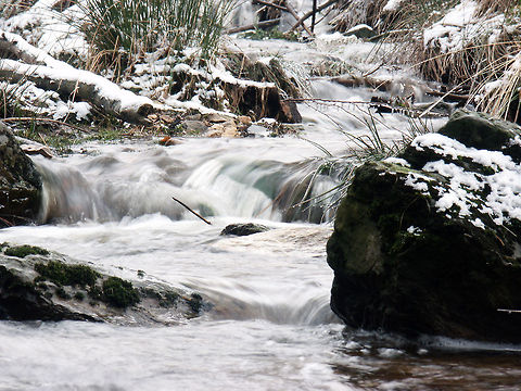 Of wintertime forlorn The upper half of our earth dappled in summertime 
I sometimes miss the winters' warmth of snow. 
The solitary walks, the quietness, 
A fiery gale, a fiery glow.  Belgium,Geotagged