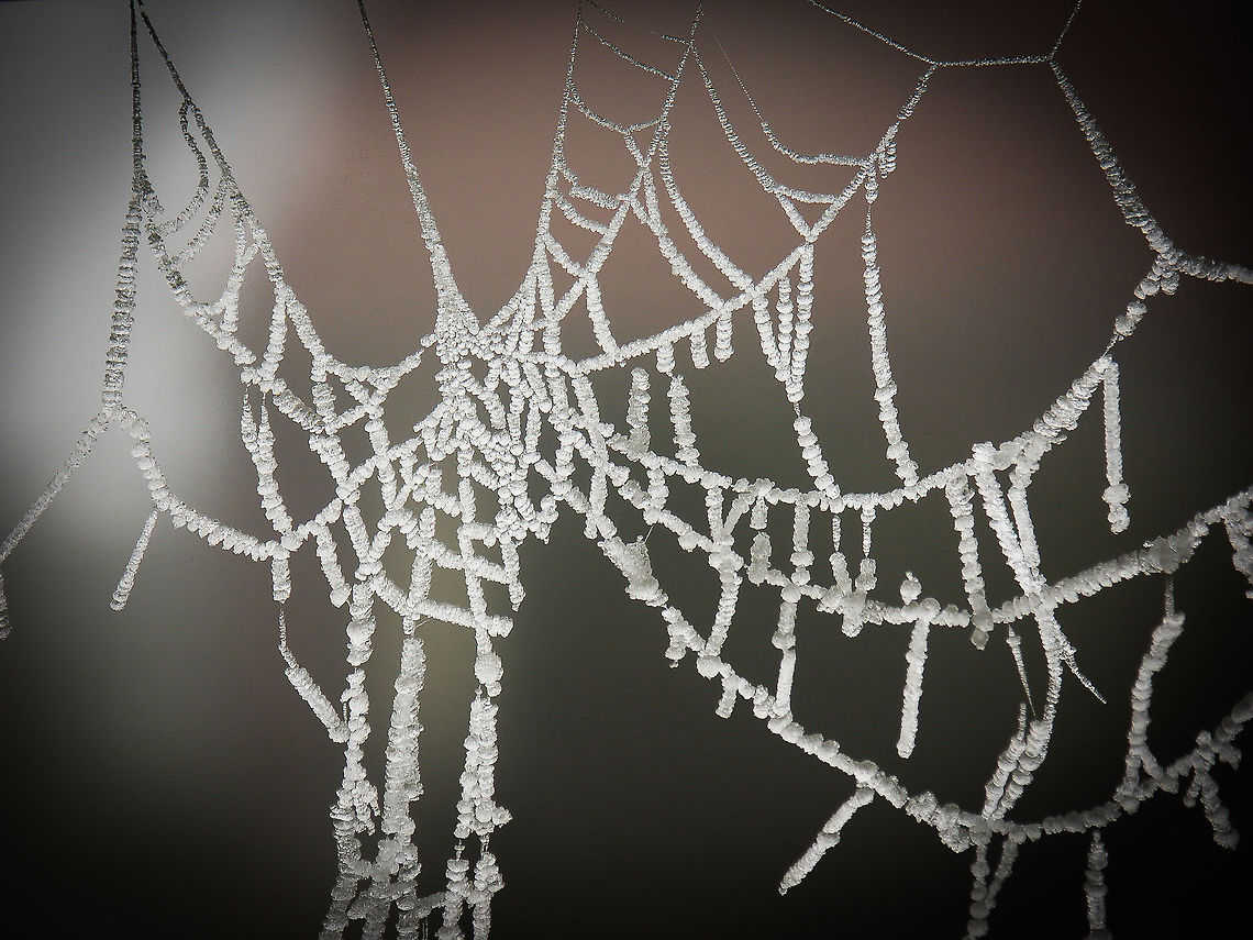 A chill reception An abandoned spider web, challenged by the frosted dew drops of a cold winter so many years ago.  Geotagged,The Netherlands