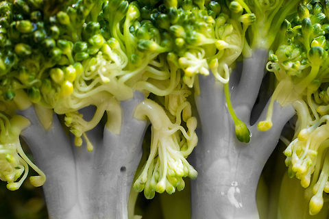 No such thing as a boring plant species I was thinking in macro there is a lot to see. 
Not always exotics, we have beauty often so near at hand.
If we only open our eyes.

Besides that Fibonacci is spotted a lot (have a look at the video).

So vegtables it is, so close and yet to many of us so non-inspiring. 
Not true, let's look at Broccoli for example. A beautiful variety of the cauliflower we all know and perhaps love to eat too. I enhanced the 'boring' greyness to show the treelike quality. 

My lesson to me: "Beauty is in the eye of the beholder" Brassica oleracea,Geotagged,The Netherlands,macro