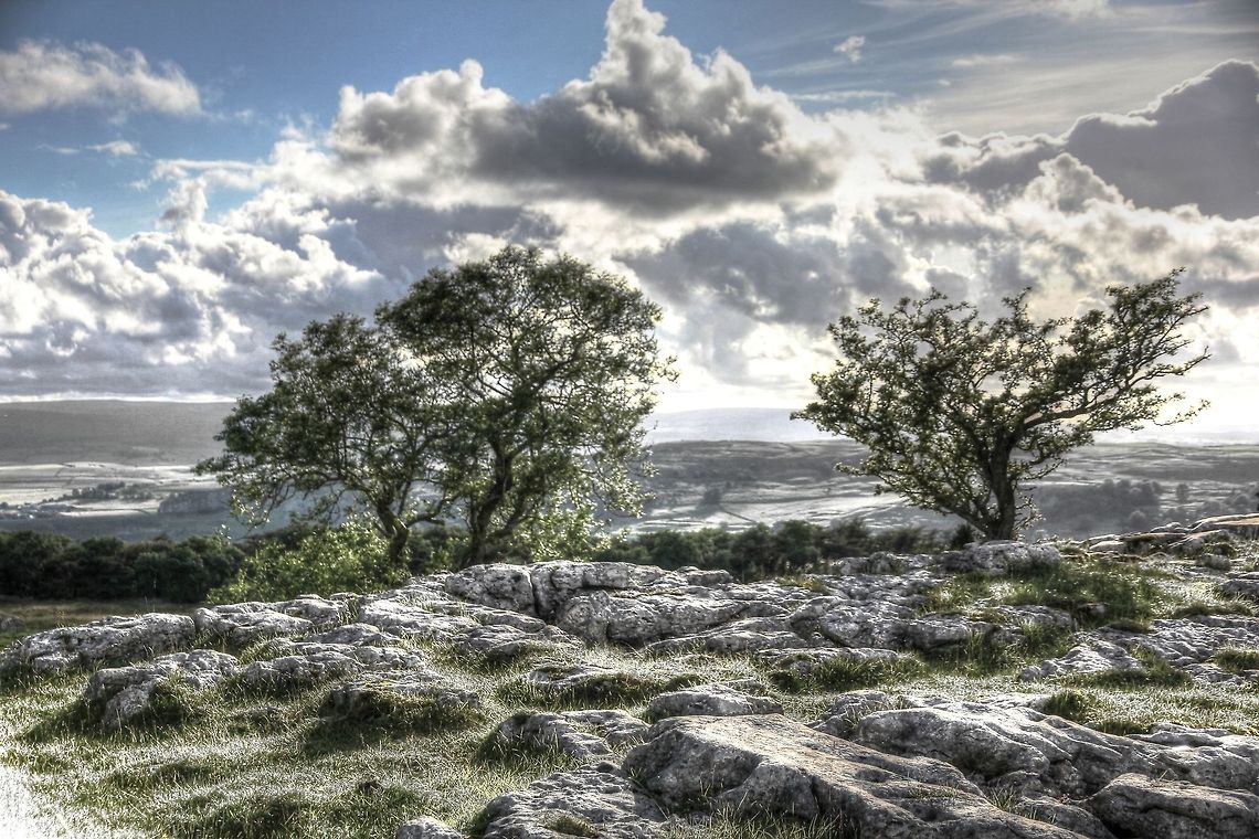 Unbleached Delight Light returning<br />
Clouds retreat.<br />
Slowly the greyness fades and feasts my eyes. Fraxinus excelsior,Geotagged,HDR,United Kingdom